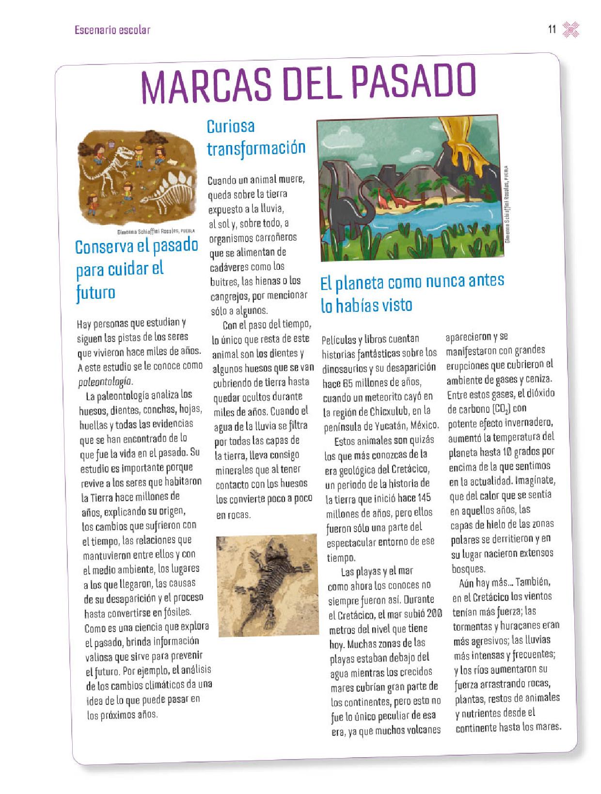 Página 3