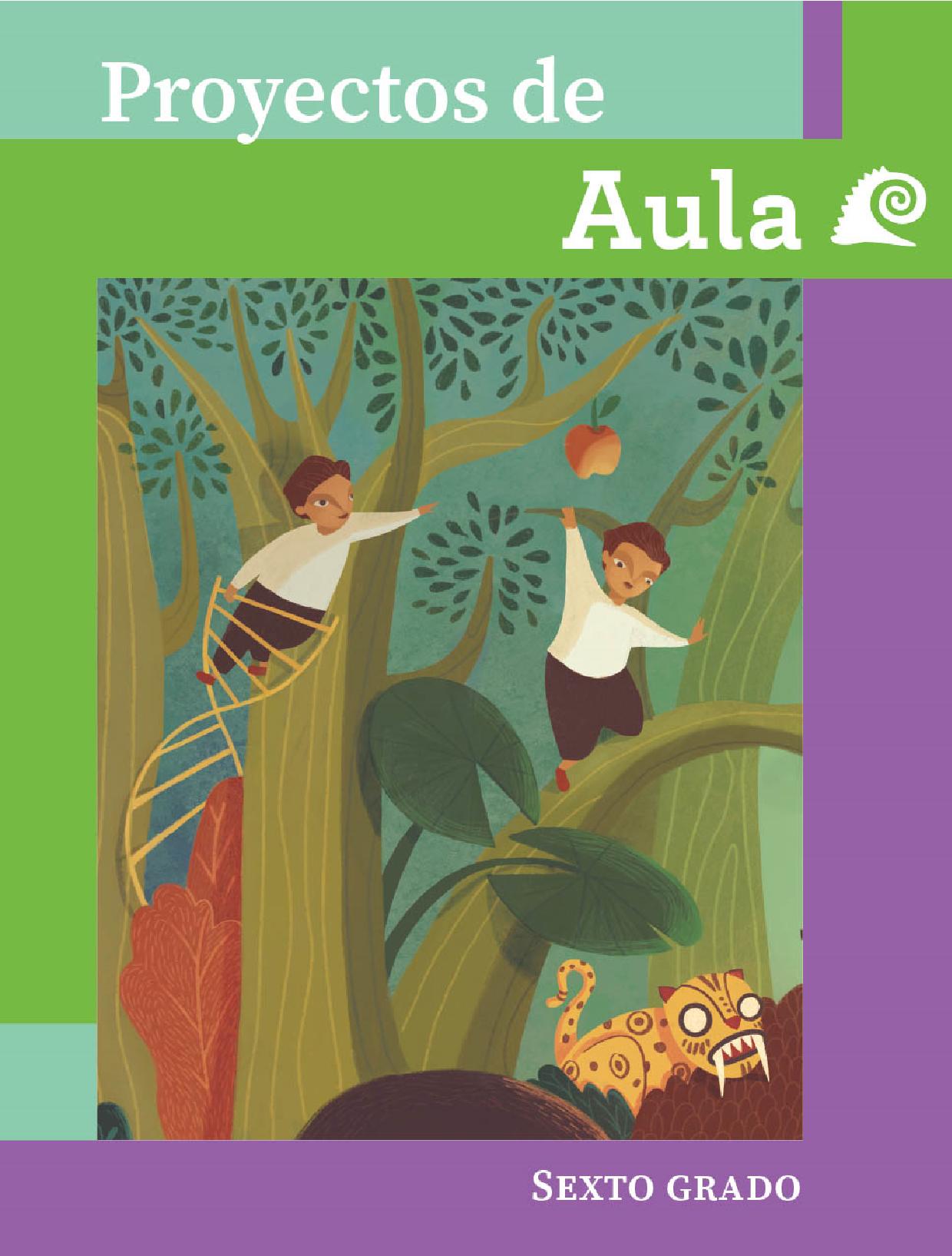 Proyectos de Aula Primaria Sexto grado